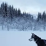 Vestvatn - Arctic
