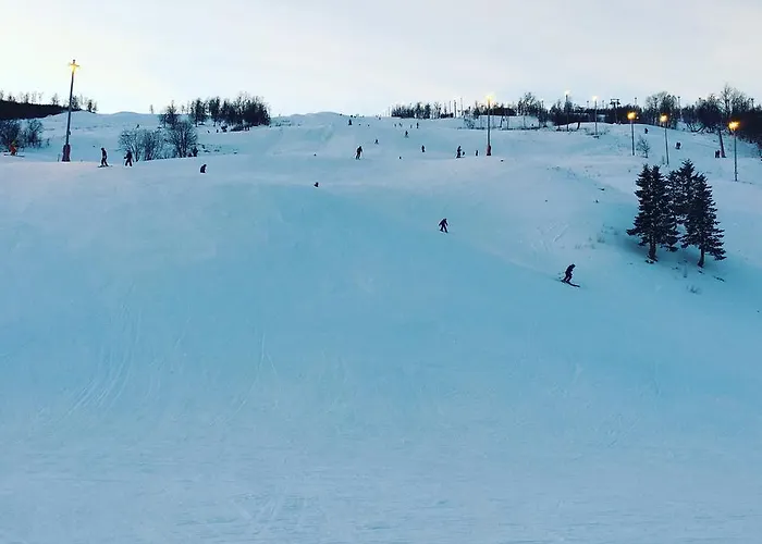 Деревянный коттедж Vestvatn - Arctic