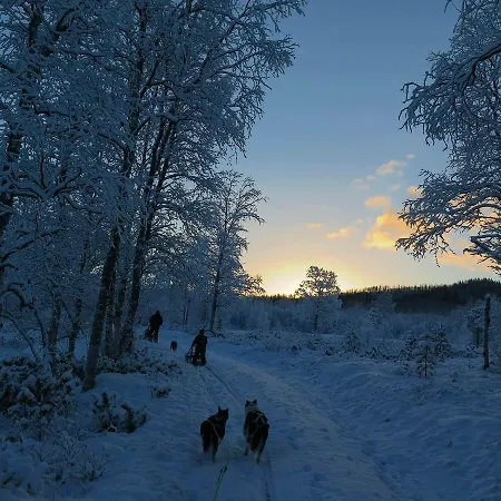Vestvatn - Arctic Lodger