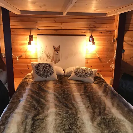 Lodger Vestvatn - Arctic