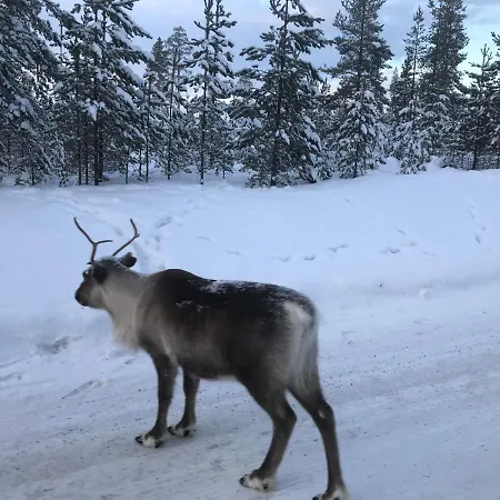 Vestvatn - Arctic * Brekke (Nordland)